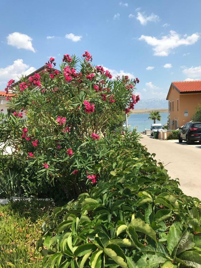 Apartmani Darija Vir Exterior foto